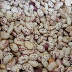 قیمت لوبیا چیتی ایرانی